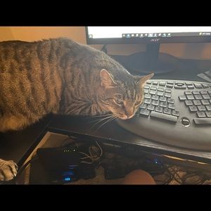 Meet your Posher, Candace